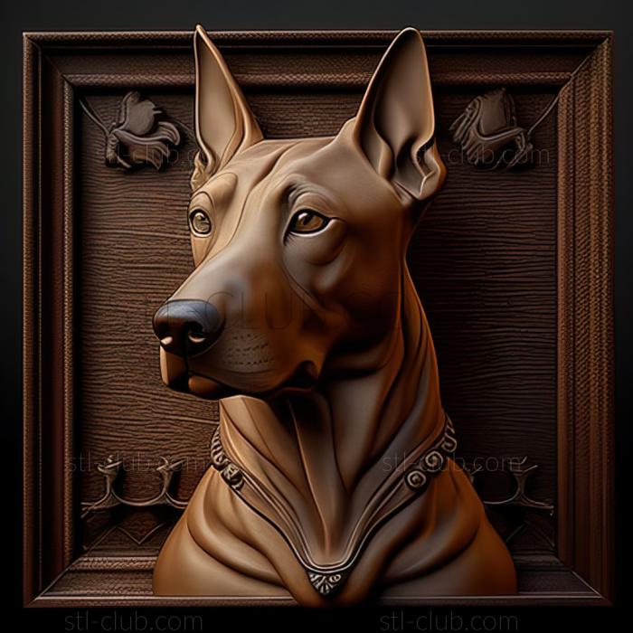 st Thai Ridgeback dog